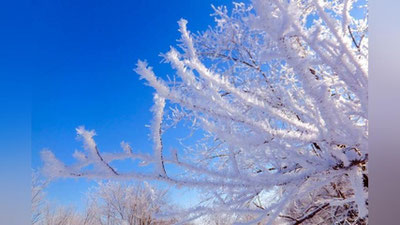 'Bugun kunduzi O`zbekistonda necha daraja sovuq kuzatiladi?'ning rasmi
