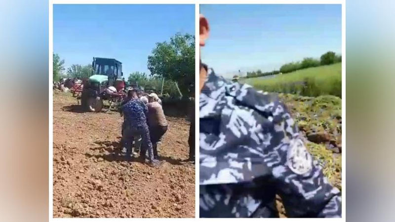 'Бўш ерга ишлов бериб, 1,40 гектарига пиёз эккан яккабоғлик фермернинг ҳосили “ҳайдаб” ташланди (видео)'ning rasmi
