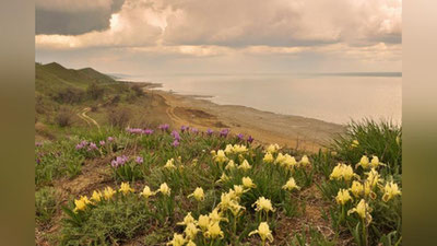 '7 апрель куни ҳаво ўзгариб туради, вақти-вақти билан ёмғир ёғади'ning rasmi
