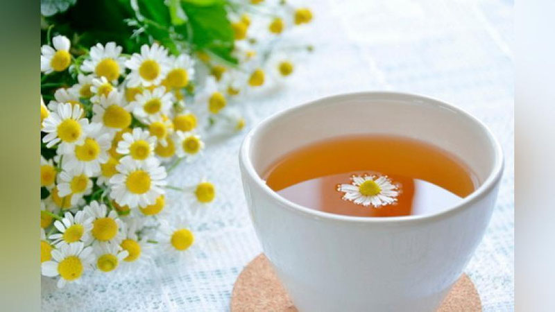 'YoG`LI YuZ TERILARI UChUN...'ning rasmi