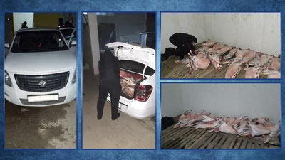 Изрображение 'В Джизаке задержали подозрительную баранину, которую везли на продажу в Ташкент'