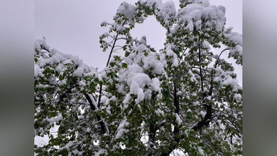 '⚡️ Yomg`ir, do`l va hatto qor... Dam olish kunlari O`zbekistonda harorat me`yordan tushib ketadi'ning rasmi