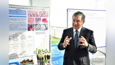 'Shavkat Mirziyoev: O`rmon xo`jaligi alohida yirik sohaga aylanishi zarur'ning rasmi