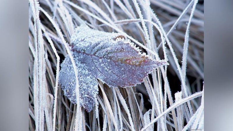 Изрображение 'ПОГОДА НА 7 ФЕВРАЛЯ: МОРОЗЫ НОЧЬЮ И ПОТЕПЛЕНИЕ ДНЕМ'