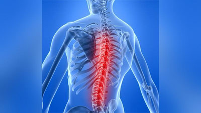 '​“Umurtqa pog`onasidagi o`zgarishlar milklarga ta`sir ko`rsatadimi?”'ning rasmi