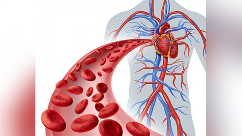 'ТАНАМИЗНИНГ АЖОЙИБОТЛАРИ'ning rasmi
