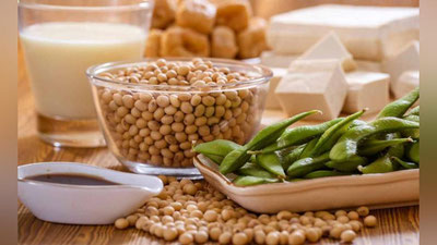 'Ўзбекистонда соя етиштирувчилар ассоциацияси тузилади'ning rasmi