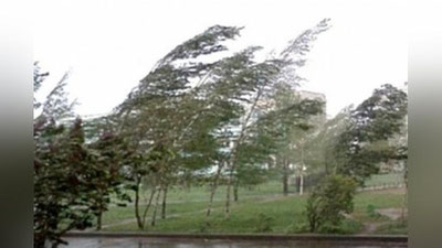 'Кучли шамол, момақалдироқ, ёмғир... Дам олиш кунлари қайси ҳудудда қандай об-ҳаво бўлиши маълум қилинди'ning rasmi