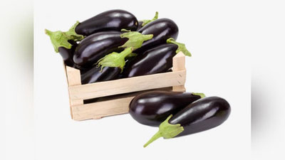 'Baqlajon: foydami yoki zarar?'ning rasmi