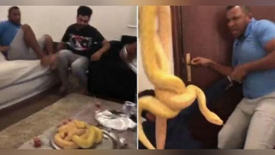 'Iordaniyalik erkakni ilon bilan qo`rqitishdi (Video)'ning rasmi