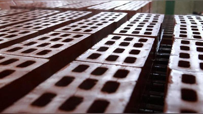 Изрображение 'СМИ: Премьер-министр высказался о прекращении поставок газа производителям кирпича'