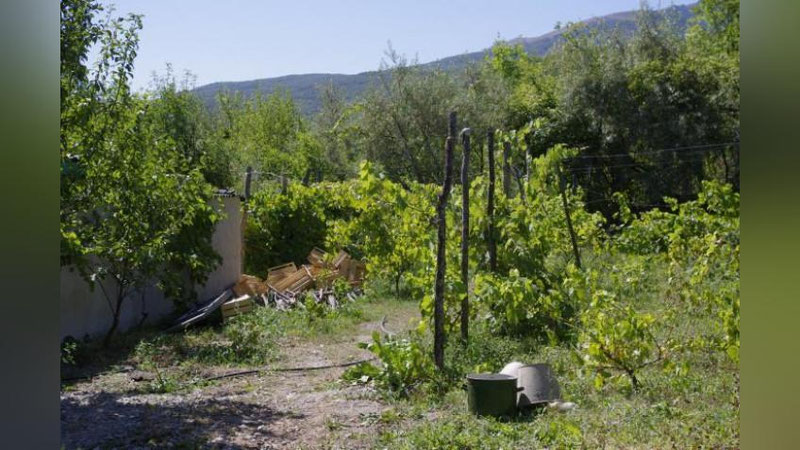 Изрображение 'Как планируется усилить ответственность на неиспользование приусадебных участков?'