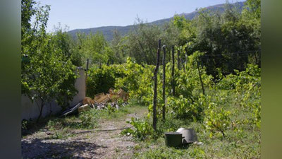 Изрображение 'Как планируется усилить ответственность на неиспользование приусадебных участков?'