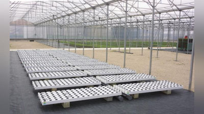 'Иссиқхонада йилига тўрт мартагача ҳосил олиш мумкин'ning rasmi