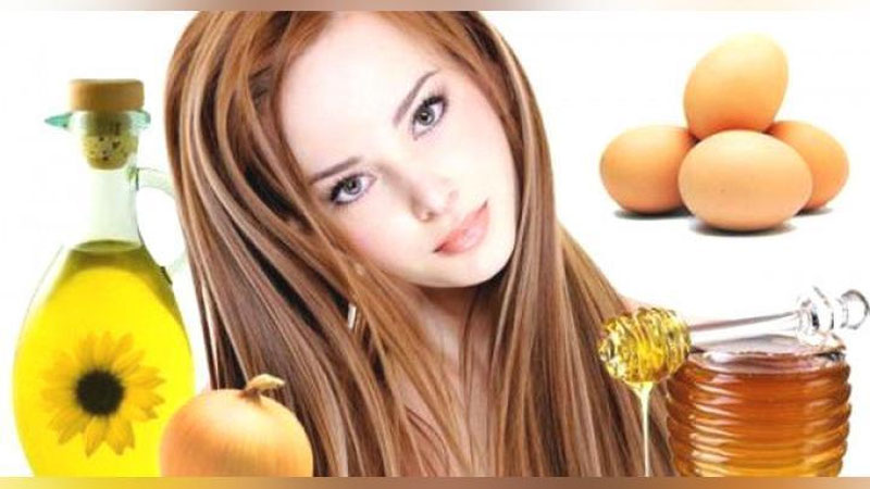 'COChLARNI OZIQLANTIRUVChI NIQOB'ning rasmi