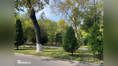 'Бугун Ўзбекистонда ҳарорат 30 даражага кўтарилади'ning rasmi