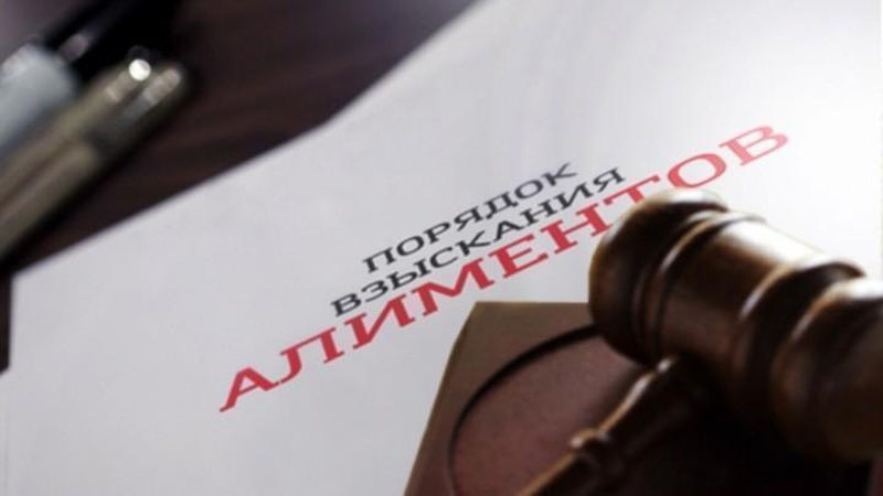 Изрображение 'Как снять запрет на выезд из-за неуплаты алиментов?'