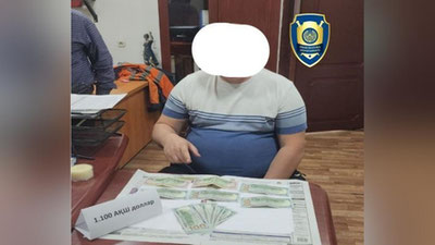 'Toshkentda imtihonsiz “prava” olib bermoqchi bo`lgan shaxs qo`lga tushdi'ning rasmi
