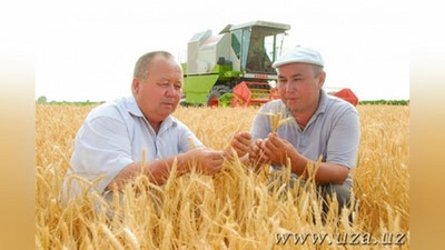 Изрображение 'В УЗБЕКИСТАНЕ УСТАНОВЯТ ДЕНЬ РАБОТНИКОВ СЕЛЬСКОГО ХОЗЯЙСТВА'