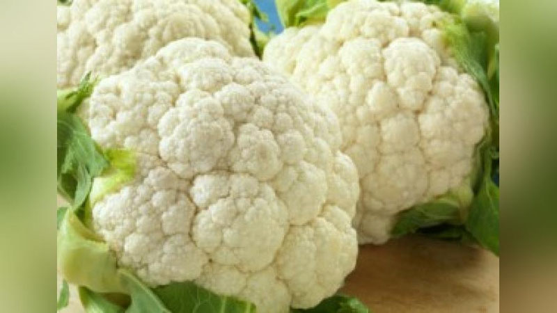 'GULKARAM SARG`AYIB QOLMASLIGI UChUN…'ning rasmi