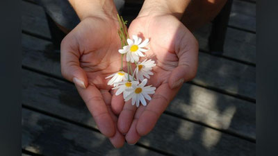 'IShTAHAMIZNI NAZORAT QILAMIZ!'ning rasmi