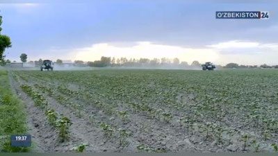 Изрображение 'Вышедшие из сельхозоборота земли предоставят гражданам (видео)'