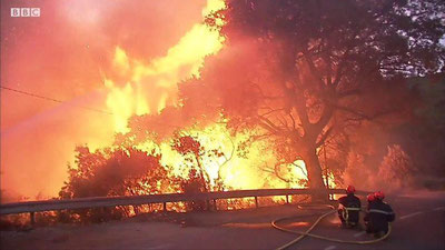 'Fransiyaning Korsika orolida o`rmon yong`inlari ro`y bermoqda (video)'ning rasmi