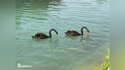 'Bugun O`zbekistonda harorat ko`tariladi'ning rasmi