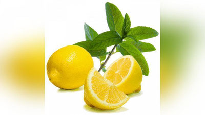 'Madad-shifo: MUZLATILGAN LIMON SARATONDAN ASRAYDI!'ning rasmi