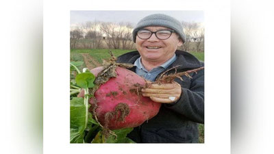 'Surxondaryoda fuqaro o`z tomorqasida 7 kilogramlik sholg`om etishtirdi'ning rasmi