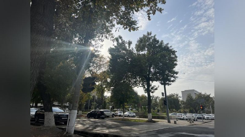 'Бугун Ўзбекистонда ҳарорат кўтарилади'ning rasmi