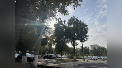 'Бугун Ўзбекистонда ҳарорат кўтарилади'ning rasmi