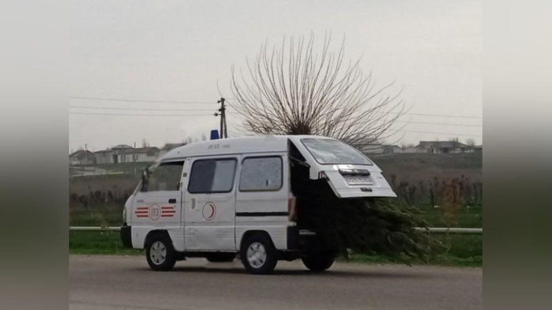 'Toshkent viloyatida tibbiy xizmat mashinasida archa tashildi'ning rasmi