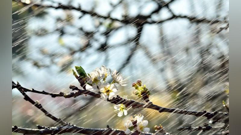 Изрображение 'КАКАЯ ПОГОДА НАС ЖДЕТ ДО КОНЦА МАРТА: ПРОГНОЗ НА НЕДЕЛЮ'