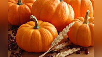 '​Darmondori qovoq... mazali, foydali, ko`zni quvontiradi, oshqozonni ham'ning rasmi