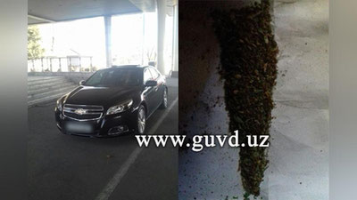 '"Малибу" салонидан марихуана топилди'ning rasmi