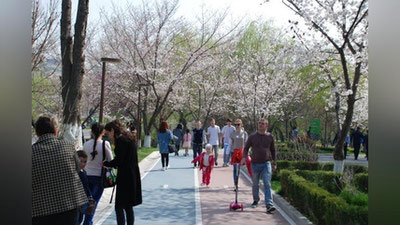 'Эртага Ўзбекистонда ҳаво ҳарорати 26 даражагача кўтарилади'ning rasmi