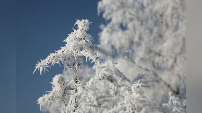 'Бугун Ўзбекистоннинг айрим ҳудудларида яна қор ёғиши мумкин'ning rasmi