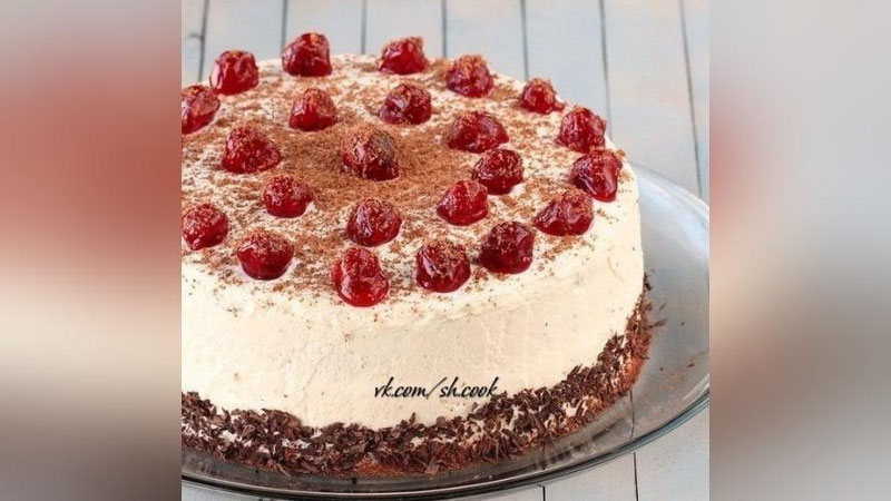 '«OLChAZOR» TORTI'ning rasmi