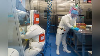 'Xitoyliklar sichqonlarda halokatli virusni sinab ko`rdi'ning rasmi