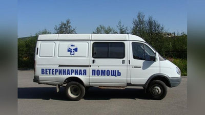 Изрображение 'ЕСТЬ ЛИ В СТРАНЕ «СКОРАЯ ПОМОЩЬ» ДЛЯ ЖИВОТНЫХ?'