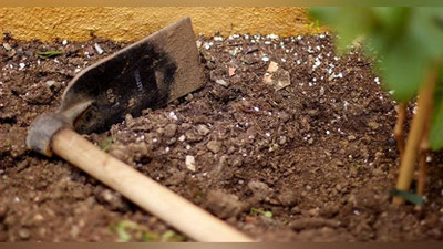 'Farg`ona viloyatida ota o`g`lini boshiga tesha bilan urib, mayib qildi'ning rasmi