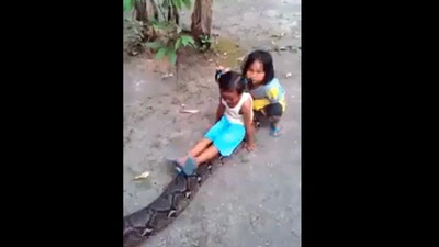 'Indoneziyalik qizaloqlar ulkan bo`g`ma ilonning ustiga minib olishdi (Video)'ning rasmi