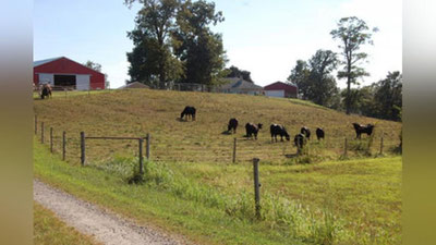 'Mol boqish va em tayyorlash qonun bilan tartibga solinadi'ning rasmi