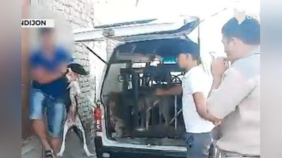 'Andijonlik fuqaro o`z uyida itlarni o`ldirib, ularning go`shtini mahalliy oshxonalarga sotgani rostmi? IIB holat yuzasidan izoh berdi'ning rasmi