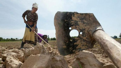 'Qonunchilik palatasining bir guruh deputatlari hukumatga aniq taklif bilan chiqmoqda'ning rasmi