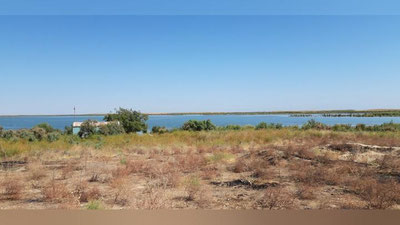 Изрображение 'В Узбекистане примут программу по улучшению состояния Айдар-Арнасайской системы озер'