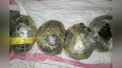 'Афғонистон фуқароси 20 кг дан зиёдроқ опийни сотаётган вақтда қўлга олинди'ning rasmi