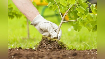 Изрображение 'Граждане смогут проголосовать за создание зеленых зон через портал "Открытый бюджет"'