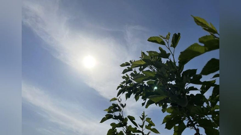 'Bugun Farg`ona vodiysi viloyatlarida yomg`ir yog`ishi kutilmoqda'ning rasmi